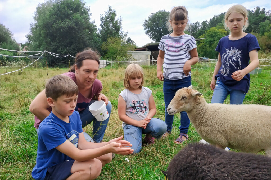 IMG_20210816_135552-A