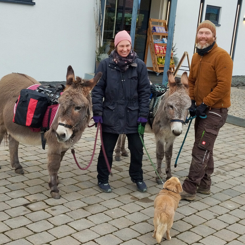 IMG_20241227_120852_1